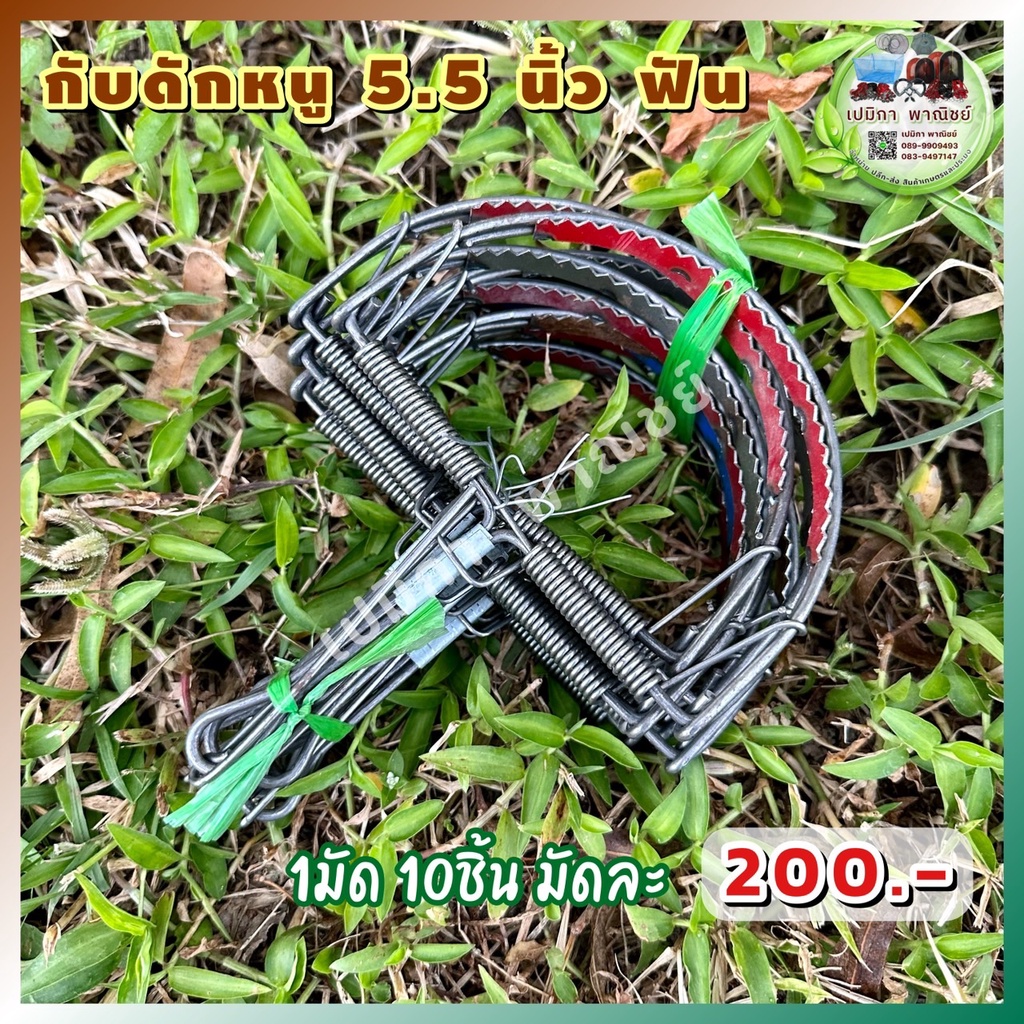 กับดักหนู 5.5 นิ้ว มีฟัน 1มัด 10ชิ้น กับดักหนูนา กับดักหนูเวียดนาม  กับดักเกือกม้า กับลาว กับตีหนู กับดักวงเดือน