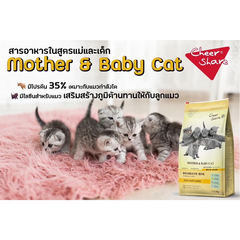CheerShare King Of Wild สำหรับแมวทานยาก สูตร Freeze-dried และ Mother&Baby Cat Holistic ราคา ถูกที่สุด ดีลบีเคเค แกลเลอรีภาพที่ 3