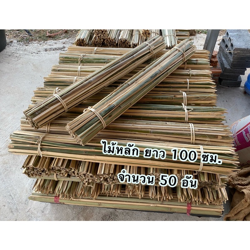 ไม้หลักยึดต้นไม้ปลายแหลม ยาว100 ซม.จำนวน 50 อัน ป้องกันลำต้นโยก ช่วยพยุงลำต้นเสริมความมั่นคงให้ต้นไม้ ยึดต้นไม้ให้แน่น