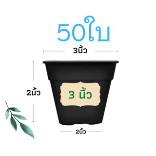 กระถางสี่เหลี่ยม ขนาด 3นิ้ว (แพ็ค 50ใบ) กระถางปลูกกระบองเพชร กระถางแคคตัส กระถางต้นไม้ กระถางพลาสติก