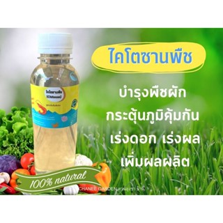 ไคโตซานพืช เร่งดอกผล กระตุ้นภูมิคุ้มกัน ขนาด 250 ml