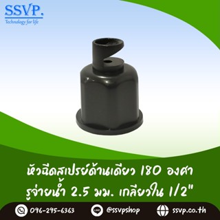 หัวฉีดสเปร์ด้านเดียว 180 องศา ขนาดรูน้ำ 2.5 มม. รุ่น HS-025  แพ็คละ 100 ตัว