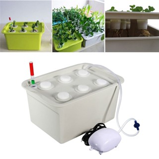 【AG】Indoor 6 Holes Hydroponic System Soilless Cultivation Plant Nursery Box Grow Kit