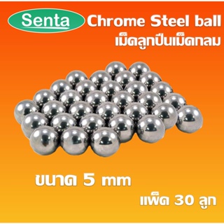 Chrome steel ball เม็ดลูกปืนเม็ดกลม ขนาด 5.00 mm ความแข็ง 60 ~ 63 HRC จำนวน 30 ลูก AISI 52100 / JIS SUJ2 / DIN 100