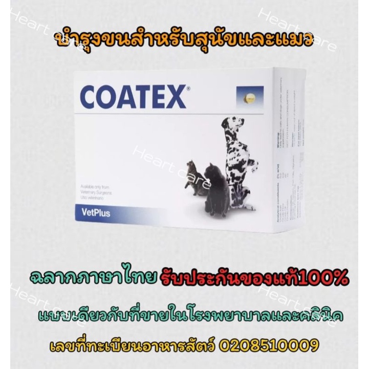 coatex วิตามินบำรุงขนและผิวหนัง สำหรับสุนัขและแมว