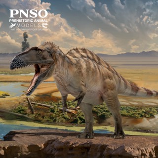 Pnso โมเดลไดโนเสาร์ประติมากรรม: 61Fergus the Acrocanthosaurus