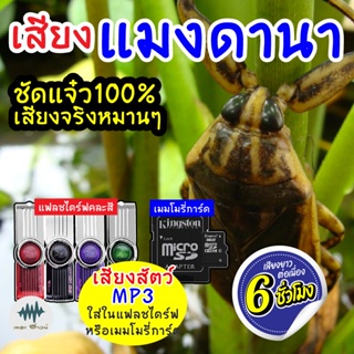 (MP3 เสียงต่อสัตว์) เสียงแมงดานา [6ชั่วโมง] ใส่แฟลชไดร์ฟ/เมมโมรี่ เก็บเงินปลายทาง เสียงดี ชัด100% ไม่มีโฆษณาแทรก