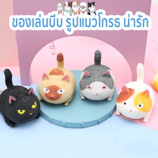 Cute Pinch Angry Cat สกุชชี่ ของเล่นบีบอัด TPR รูปแมวโกรธน่ารัก แบบนิ่ม สําหรับเด็ก SA6412