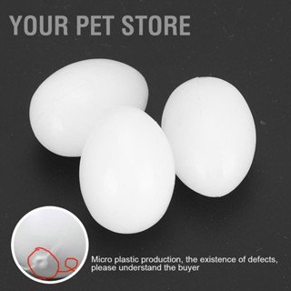 Your Pet Store รังนกพิราบปลอม พลาสติก ทนทาน 50 ชิ้น