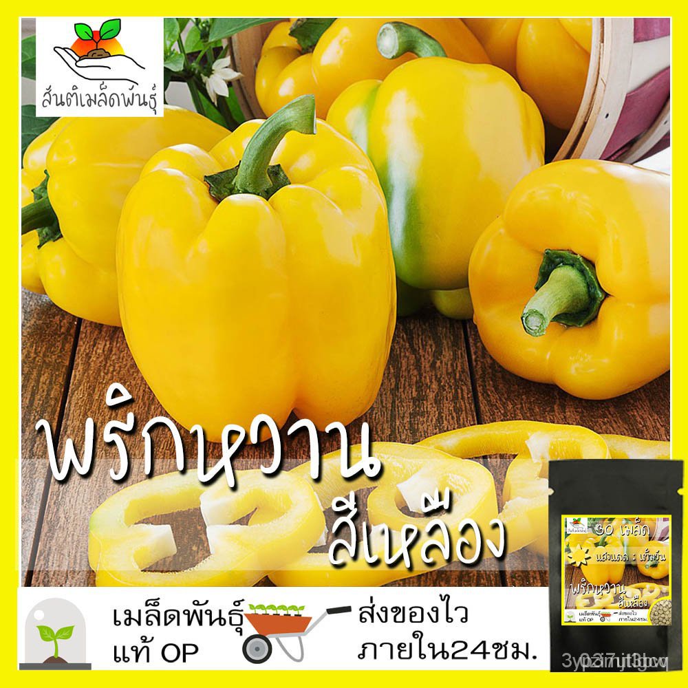 ผลิตภัณฑ์ใหม่ เมล็ดพันธุ์ เมล็ดพันธุ์คุณภาพสูงในสต็อกในประเทศไทยเมล็ดอวบอ้วน พริกหวานสีเหลือง 30 เมล็ด Golden C /ดอก IEM