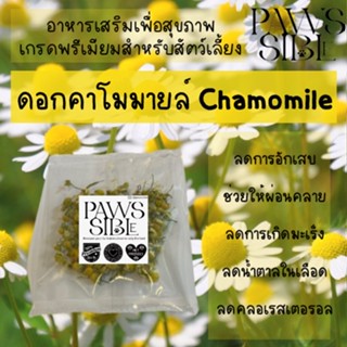 [Paws-sible] ดอกคาโมมายล์อบแห้ง อาหารเสริมสำหรับสัตว์ฟันแทะ