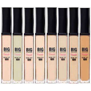 etude house big cover skin fit concealer คอนซีลเลอร์ pro 7g