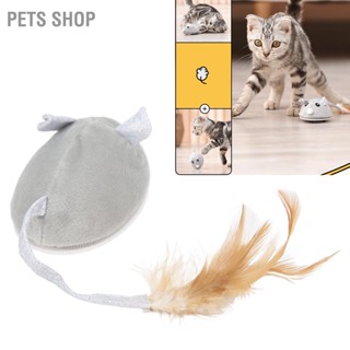 Pets Shop ของเล่นหนู แมว ชาร์จ Usb เหมือนจริง ปลอดภัย โต้ตอบ เคลื่อนไหวอัตโนมัติ สําหรับในร่ม