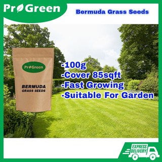 ผลิตภัณฑ์ใหม่ เมล็ดพันธุ์ จุดประเทศไทย ❤Bermuda Grass Seeds / Biji Benih Rumput / Garden Grass Seed / Benih Rum คล/ขา SU