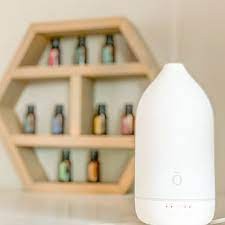 diffuser doterra เครื่องพ่นไอน้ำ โดเทอร์ร่า  รุ่น ลาลูซ  รุ่น เพบเบิล รุ่นไพลอท ของแท้100%