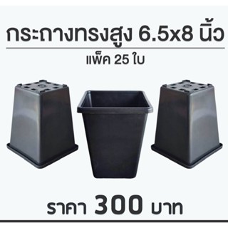 กระถางต้นไม้ กระถางปลูกตอ ทรงสี่เหลี่ยม สูง 6.5x8 นิ้ว สีดำ 25 ใบ