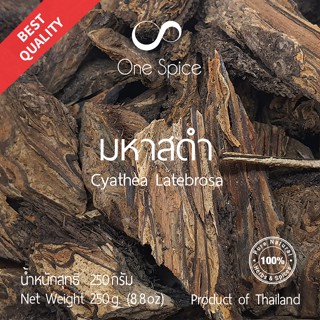 Onespice มหาสดำ 250 กรัม | สมุนไพร แห้ง กูดพร้าว กูดต้น  | Dried Cyathea Latebrosa | One Spice