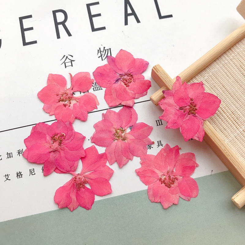 12 นกนางแอ่นบินหนึ่งแพ็คกลืน Osmanthus ธรรมชาติแห้งลายนูนซิลิโคนหยดเจลเคสโทรศัพท์วัสดุอโรมาเทอราพี