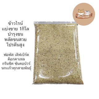 ข้าวไรท์ แคนนาดา แบ่งขายขนาด 1 kg Canary Seed