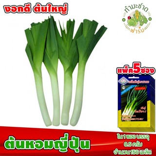 （คุณภาพสูง เมล็ด）[แพ็ค 5 ซอง] เมล็ดพันธุ์ ต้นหอมญี่ปุ่น พันธุ์โตเกียว1  ประมาณ 150 เมล็ด/ซอง /ง่าย ปลูก สวนครัว /ขายดี X