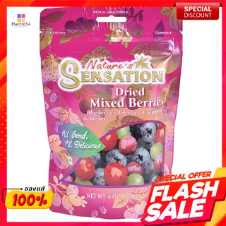 เนเจอร์ เซ็นเซชั่น ผลไม้เบอร์รี่แห้งรวม 170 ก.Natures Sensation Mixed Dried Berries 170 g.