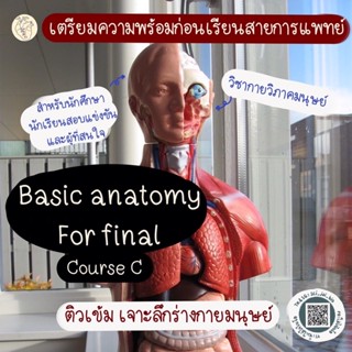 คอร์สเรียนกายวิภาคศาสตร์ C: Basic anatomy for final สำหรับเตรียมสอบสายการแพทย์