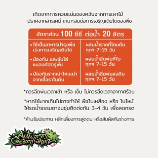 น้ำส้มควันไม้ แท้100% กำจัด ขับไล่ ไรแดง เพลี้ยไฟ แมลง ศัสตรูพืชอื่นๆ กลั่นเอาน้ำมันดินออก สูตรเข้มข้นยังไม่ผสมน้ำ 500ml