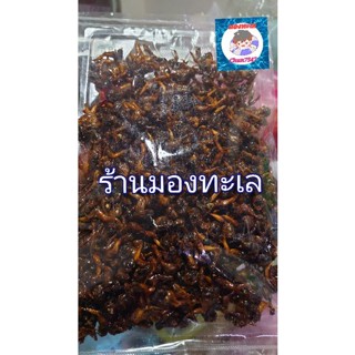 หอยหัวโต/หอยกระสือทอด ปรุงรส ขนาด200-500 กรัม