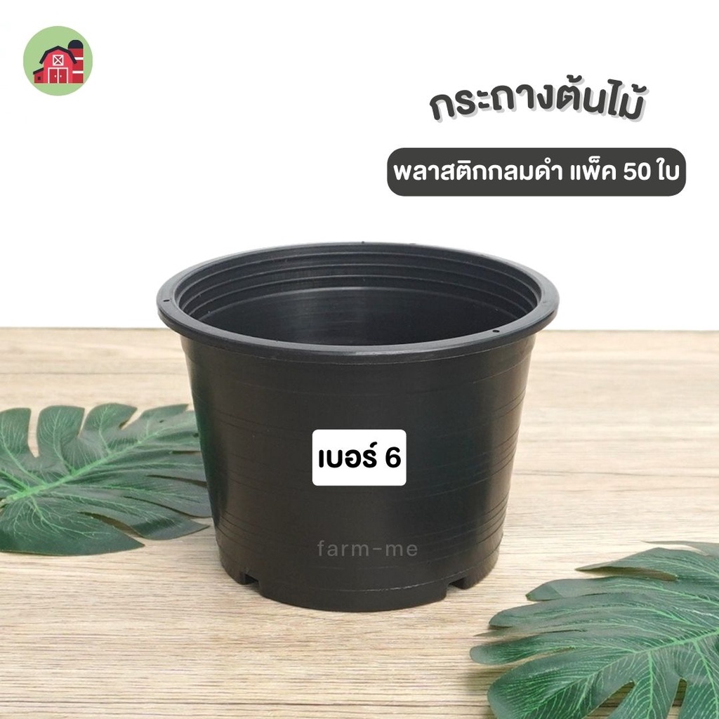 กระถางต้นไม้ 6นิ้ว แพ็ค 50ใบ กระถางต้นไม้ดำ กระถางดำ