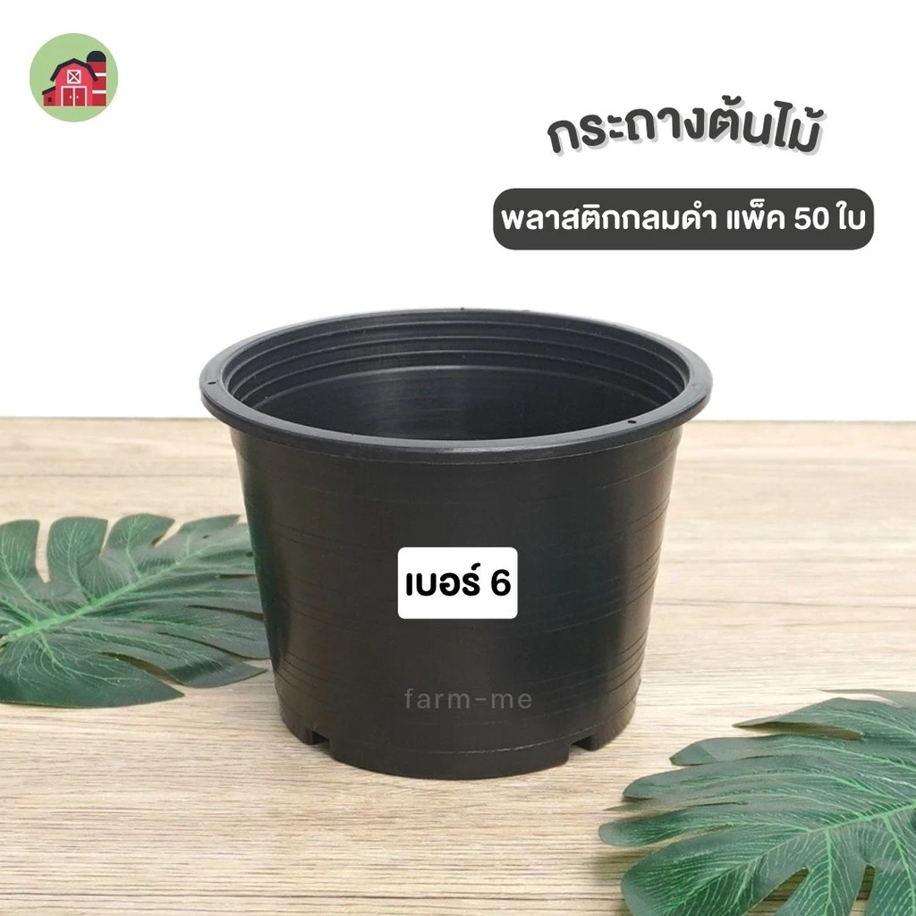กระถางต้นไม้ 6นิ้ว แพ็ค 50ใบ กระถางต้นไม้ดำ กระถางดำ