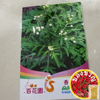 Wormwood seeds เมล็ดธัญพืชไม้หนอนผักและเมล็ดผลไม้ แอปเปิ้ล/หมวก/ผ้าอนามัย /บ้านและเตียง /เมล็ดพ 7NUU