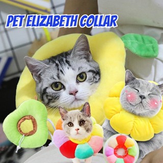 🎁พร้อมส่ง💥Pet Elizabeth Collar ปลอกคอกันเลีย รอบคอ ป้องกันการเลียแผลนุ่มนิ่มใส่สบาย
