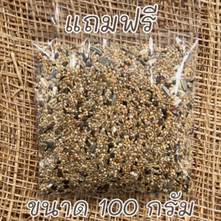 (สินค้าแถมฟรี) อาหารนกแก้ว ธัญพืช 13 อย่าง Extra Clean (ธรรมดา) สำหรับนกขนาดเล็ก - ขนาดกลาง ขนาด 100 กรัม