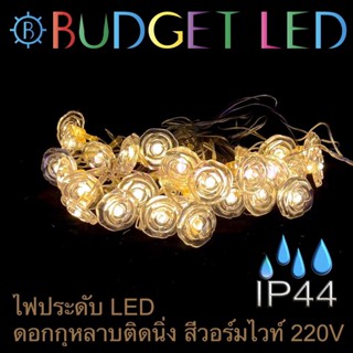 LED Fancy, ไฟประดับตกแต่ง สี Warm White แฟนซีแบบกระพริบ หลากหลายรูปทรง 220VAC IP44 (ราคาต่อ 5 เมตร)