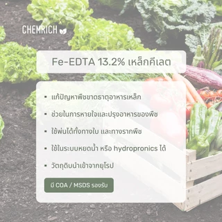 100G/500G Fe-EDTA เหล็กคีเลต อีดีทีเอ13.2% ผงจุลธาตุเหล็ก (เหล็กเหลือง) / Fe-EDTA micronutrient fertilizer - Chemrich
