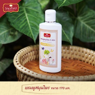 (*สั่งซื้อขั้นต่ำ3ขวด) แชมพูสมุนไพร แชมพูพระสงฆ์ ใช้ดีบอกต่อ by บุญรักษา 170 มล. | ชุดใส่บาตร ตักบาตร ชุดสังฆทาน