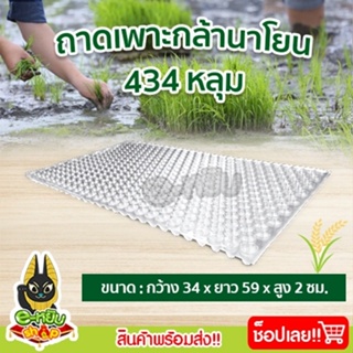 ถาดเพาะกล้า ถาดเพาะกล้านาโยน ถาดเพาะข้าว 434 หลุม เกรด A