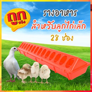 รางอาหารลูกไก่ ที่ใส่อาหารไก่เล็ก ใส่ข้าวไก่ ใส่อาหารไก่ 28 ช่อง ANI-FOD