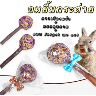 ขนมกระต่าย อมยิ้มกระต่าย ขนมสัตว์ฟันแทะ snack for rabbits