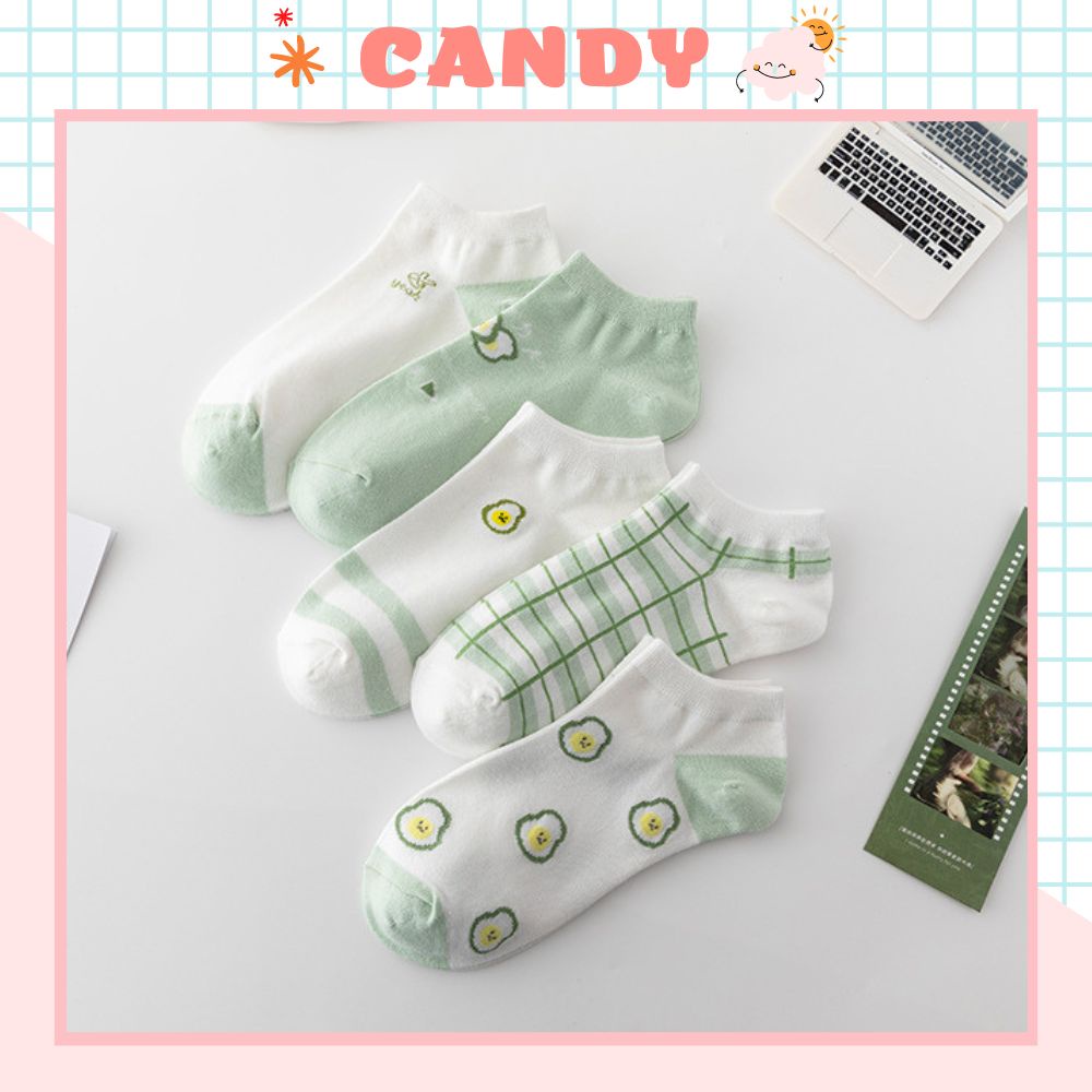 ถุงเท้าผู้หญิงแบบโลว์คัท ชุด 5 คู่ถุงเท้าผู้หญิงสไตล์เกาหลี ยืด 4 ทาง ผ้าฝ้ายเกาหลีคุณภาพสูง TN-168