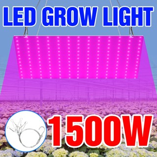 โคมไฟสเปกตรัม LED 1000W 220V 110V สําหรับปลูกพืชไฮโดรโปนิก ปลูกต้นไม้ ดอกไม้ ในร่ม