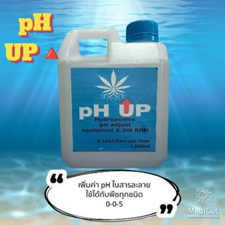 pH UP Solution น้ำยาเพิ่มค่า pH สำหรับการปลูกต้นไม้ทุกชนิด KOH 1.0M solution 1ลิตร