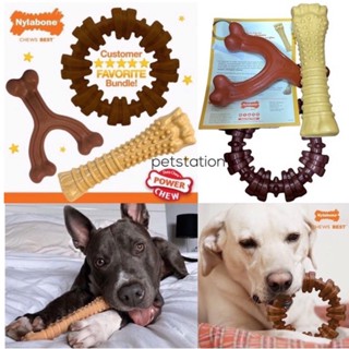 Nylabone Power Chew Bundle ของเล่นขัดฟันสัตว์เลี้ยง เซ็ท 3 ชิ้น