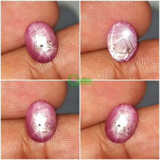 Ruby STAR 6 RAY ชาร์ปธรรมชาติ