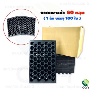 (ยกลัง/ 100 ใบ) ถาดเพาะชำ 60 หลุม มีขอบ หนา PS 70 mc. เกรดA ถาดเพาะ Seeding Tray