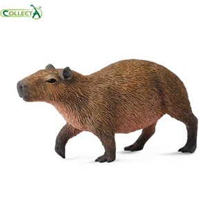 88540 Capybara UK CollectA โมเดลสัตว์ป่าจําลอง ของเล่นสําหรับเด็ก