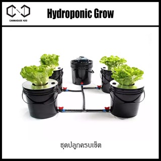 ชุดปลูกครบเซ็ท Hydroponic Grow System Deep Water Culture (DWC) Complete Kit (4 Bucket + Reservoir Kit) full set