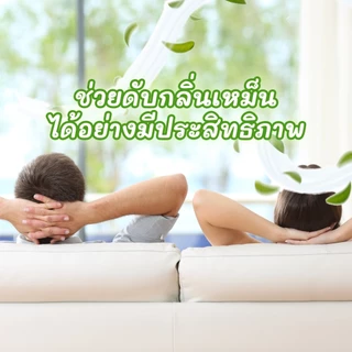 ถ่านไม้ไผ่ดับกลิ่น ถ่านดับกลิ่น ดูดกลิ่น ตราสวนเกษตรอัมพวา ทำจากถ่านไม้ไผ่แท้100%