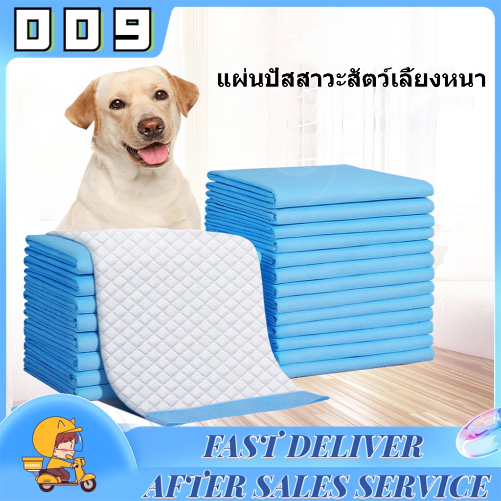 แผ่นรองฉี่ แผ่นรองฉี่สุนัข แผ่นรองฉี่แมว ไม่มีกาวแปะ ช่วยฝึกขับถ่าย ซึมซับได้ดี กักเก็บกลิ่น ราคา ถูกที่สุด ดีลบีเคเค