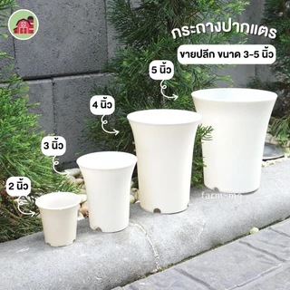 กระถางทรงปากแตร 3-5นิ้ว ขายปลีก กระถางแคตตัส